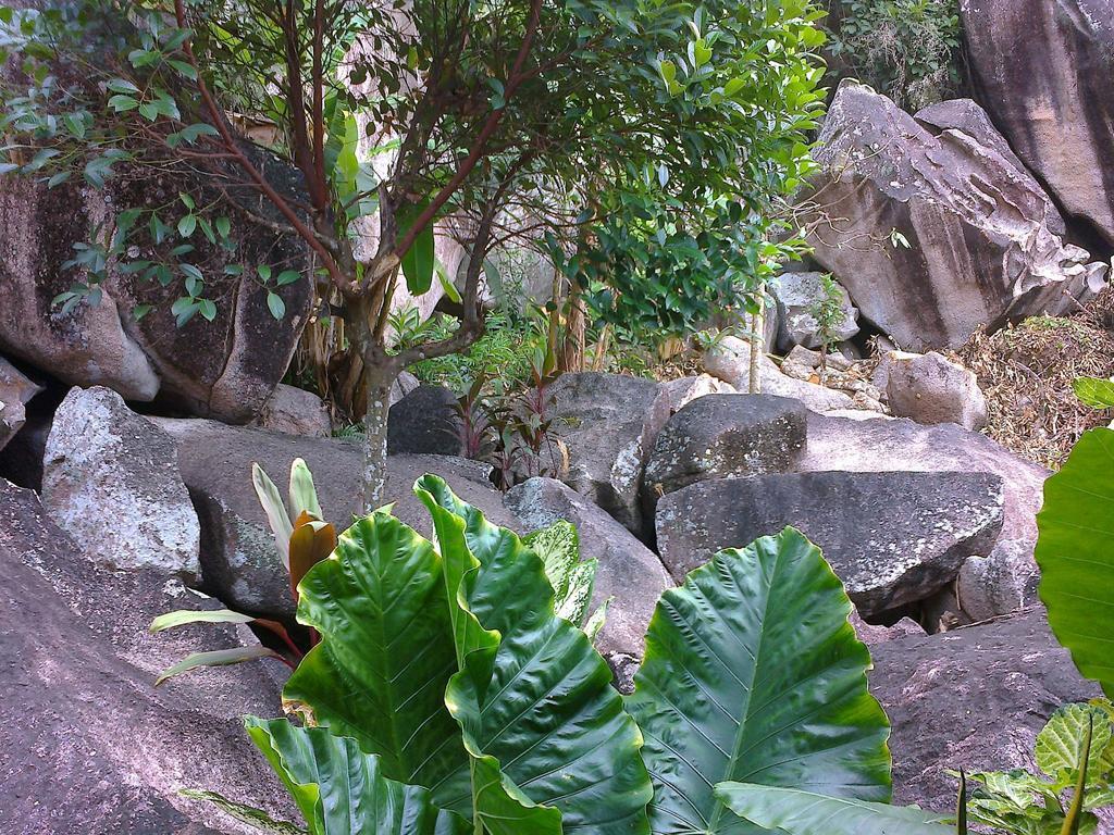 Liane De Mai Bed & Breakfast La Digue Exterior photo