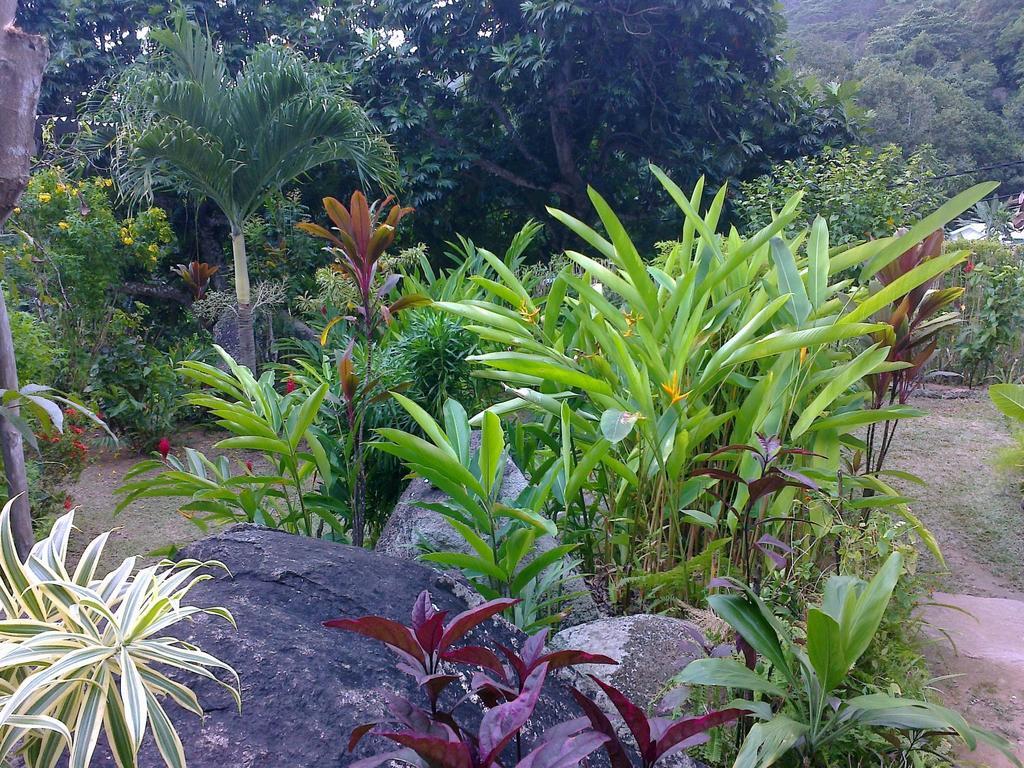 Liane De Mai Bed & Breakfast La Digue Exterior photo
